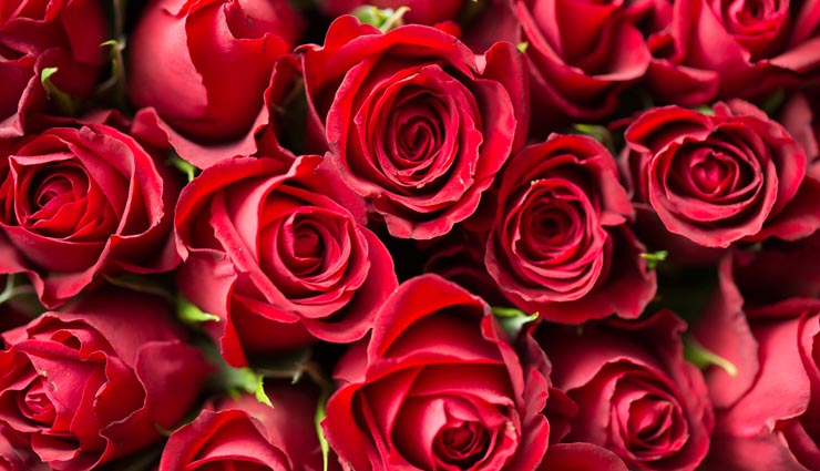 healthy benefits,rose benefits,rose beauty benefits,Health tips ,खूबसूरत फूल नहीं, अचूक औषधि भी है गुलाब