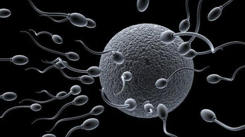 benefits of sperm,sperm benefits,amazing benefits of sperm,healthy living,Health tips