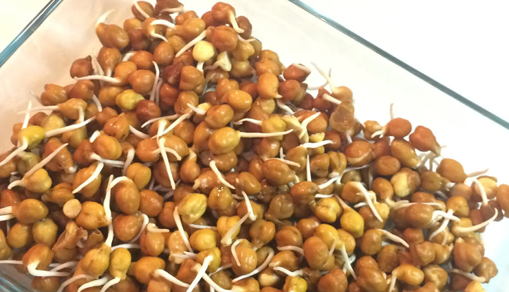 sprouts,types of sprouts,sprouts benefits,green gram moong sprouts,chickpea sprouts,bengal gram sprouts,bean sprouts,Health,Health tips