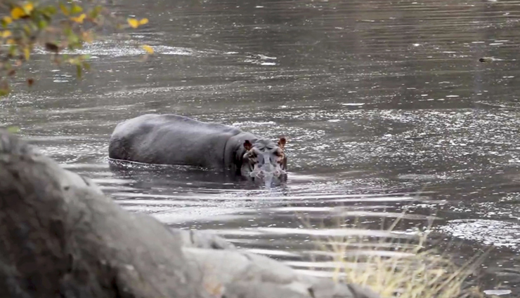 cameroon,national parks visit in cameroon,cameroon tourist places,waza national park,lobeke national park,korup national park,benoue national park,dja faunal reserve,nki national park,faro national park,bouba njida national park,campo maan national park,holidays,travel