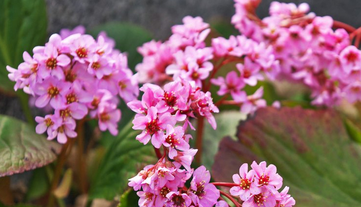 dark circles,tips to deal with dark circles,dark circles treatment,beauty tips