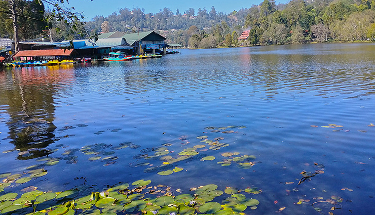 kodaikanal,tourist spots in kodaikanal,tamil nadu,travel guide,travel tips