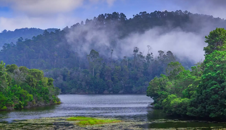 kodaikanal tourist attractions,best places to visit in kodaikanal,top tourist spots in kodaikanal,kodaikanal sightseeing destinations,must-see places in kodaikanal,explore kodaikanal: popular tourist attractions,kodaikanal hill station points of interest,tourist hotspots in kodaikanal,kodaikanal travel guide: must-visit places,unmissable sights in kodaikanal