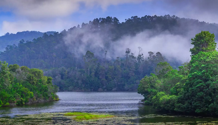 kodaikanal tourist places,beautiful places in kodaikanal,kodaikanal top attractions,hill station kodaikanal travel guide,places to visit in kodaikanal for family,romantic destinations in kodaikanal,best viewpoints in kodaikanal,kodaikanal lakes and waterfalls,kodaikanal pine forest visit,adventure in kodaikanal,kodaikanal sightseeing spots