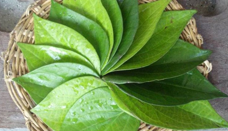 remedies to recover from cold and cough,cold and cough remedies,tips to treat cold and  cough,cold and  cough remedies,healthy living,Health tips