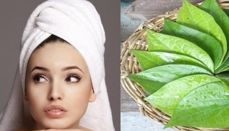 पान के पत्ते से दूर होगी त्वचा और बालों की परेशानियां, जानें कैसे