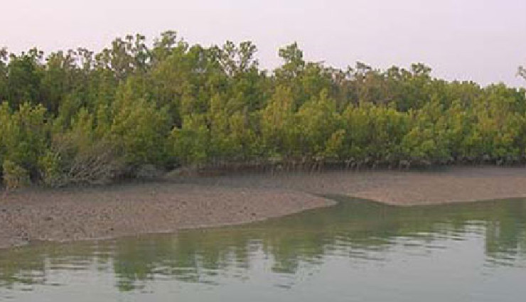 beautiful lakes in west bengal,mirik lake,jore pokhri lake,senchal lake,rasikbil lake,rabindra sarovar lake,santragachhi jheel,motijhil lake,benuka lake,amarabati lake,kolkata lake,kapil muni temple lake,samsing lake,bethuadahari lake,tajpur lake,west bengal tourism,scenic lakes,nature in west bengal,boating in west bengal lakes,top lakes to visit in west bengal