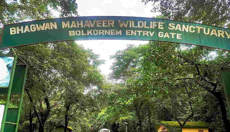 goa,amazing time in goa,goa travel,travel places in goa,goa tourism,tourist places in goa,travel guide,travel tips