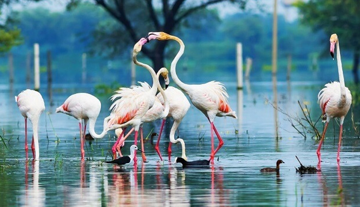 rajasthan,rajasthan tourism,tourist places in rajasthan,rajasthan travel,rajasthan travel guide,rajasthan travel vlogs,monsoon travel,travel tips