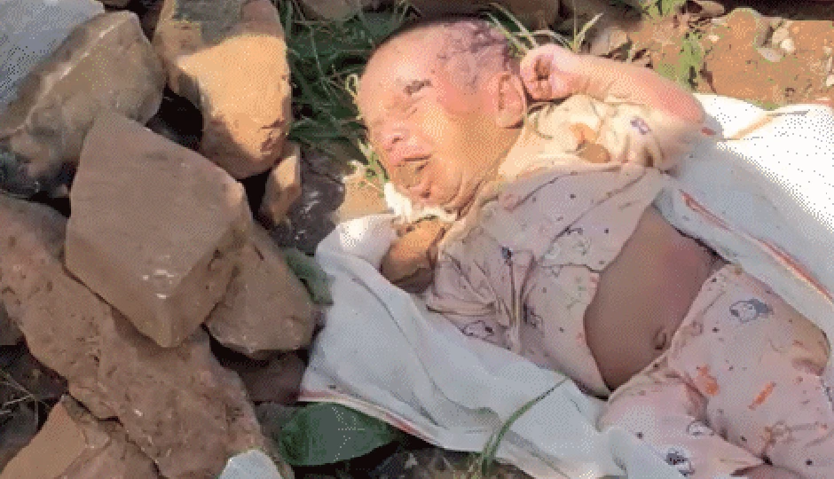 Rajasthan: 15 दिन के नवजात के मुंह में डाला पत्थर, फेवीक्विक से चिपकाया, जंगल में फेंका