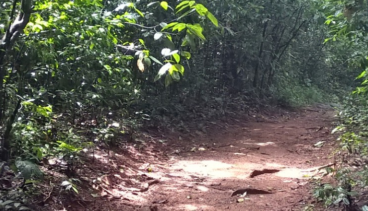 adventure sports in kochi,thrilling activities in kochi,outdoor adventures kochi,extreme sports kochi,adrenaline activities kochi,water sports kochi,land-based adventures kochi,kochi adventure tourism,kochi adventure sports guide,top adventure activities kochi,exciting things to do in kochi