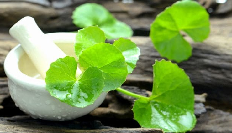 herbal oils to provide benefits to hair,hair oil,hair care tips,beauty tips,beauty hack