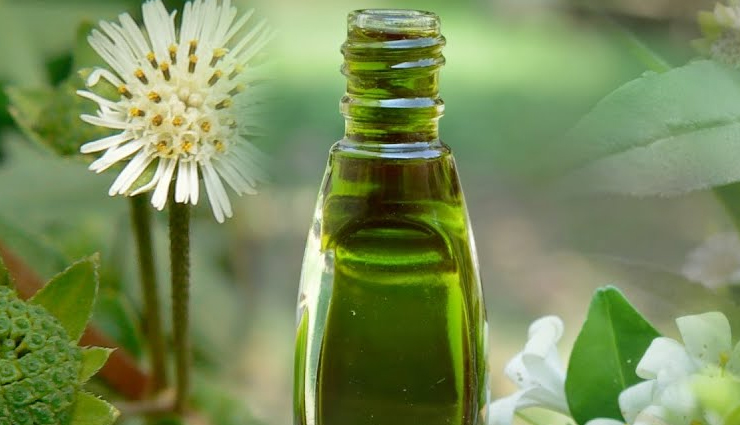 homemade oils to for hair growth,hair growth,oils for hair growth,homemade hair oil,oil for hair,hair growth,hair problem,hair solution,white hair problem.hair care tips,hair treatment,hair loss,beauty,beauty tips