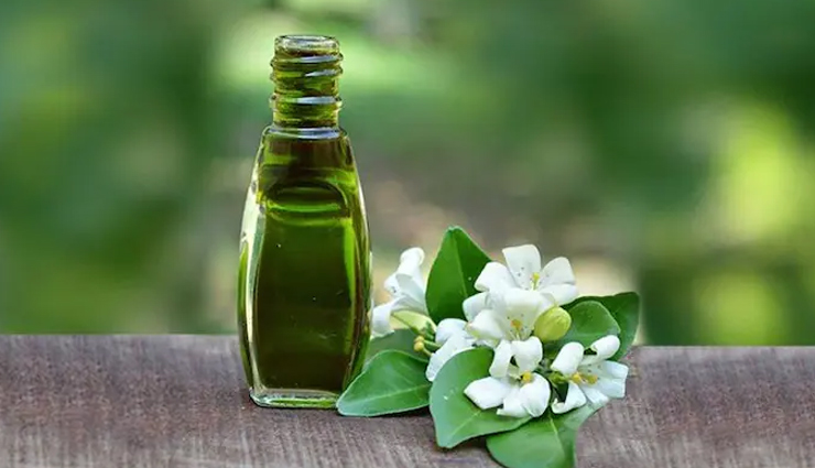 home remedies to treat hair loss,beauty tips,beauty hacks