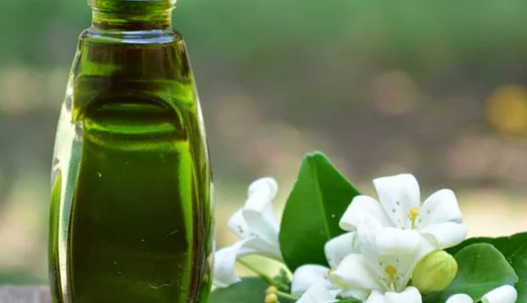 best oils for hair growth,coconut oil for hair,castor oil benefits,olive oil for hair care,argan oil uses,bhringraj oil benefits,amla oil for hair,neem oil hair treatment,ayurvedic hair oils,how to apply hair oils,hair growth tips,natural oils for hair,scalp nourishment oils,reduce hair fall,hair strengthening oils