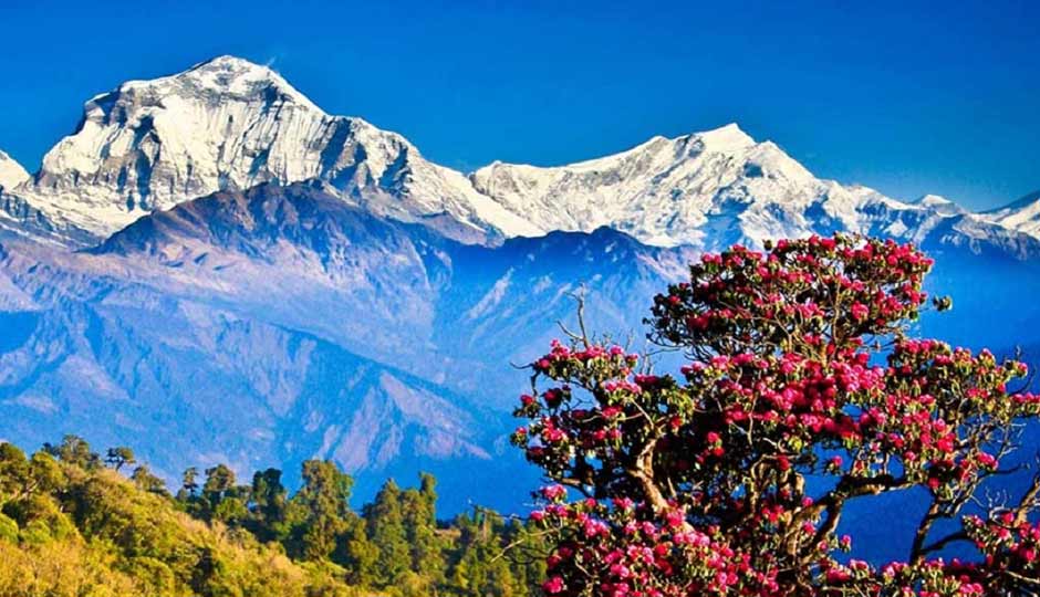 8 Beautiful Hill Stations To Visit in Bhutan