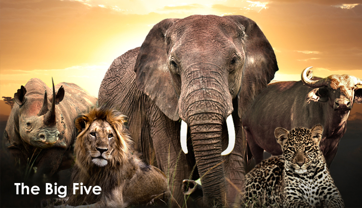 tanzania,attractions in tanzania,tanzania travel,tourist places in tanzania,lake manyara,matema beach,the big five,prison island,mount meru,house of wonders,serengeti hippo pool,arusha cultural heritage centre,the annual wildebeest migration,jozani forest,travel,holidays