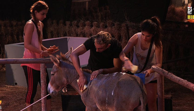 bigg boss 11,Salman Khan,arshi,bigg boss day 3,bigg boss 11 updates,bigg boss