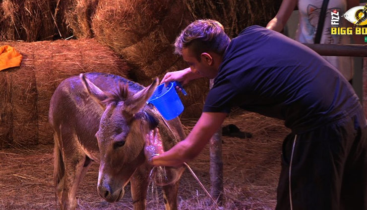 bigg boss 11,Salman Khan,arshi,bigg boss day 3,bigg boss 11 updates,bigg boss