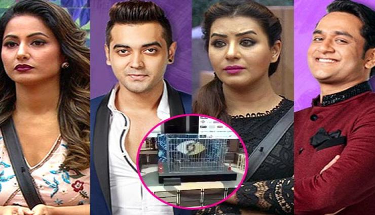 बिग बॉस सीजन 11 का अनोखा एलिमिनेशन, पिंजरे में कैद होकर ये 4 कंटेस्टेंट करेंगे वोट की अपील
