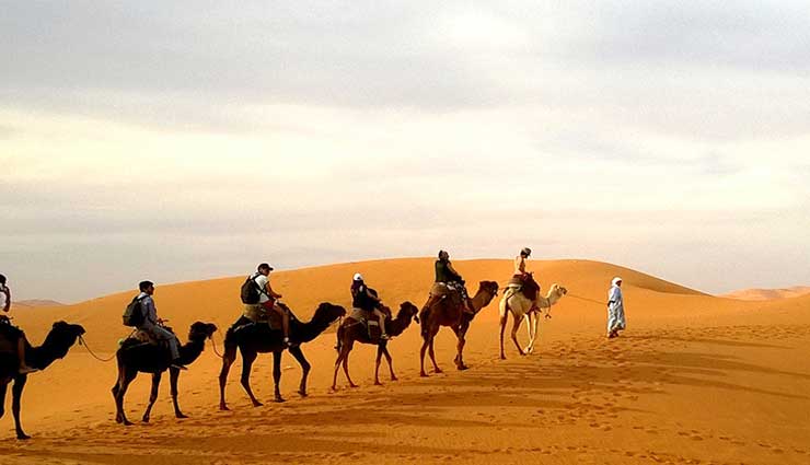 bikaner,places in bikaner,junagarh fort,lalgarh palace,laxmi niwas palace,royal cenotaphs,karni mata temple