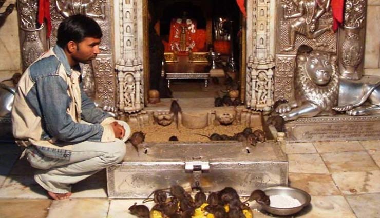 city of bikaji,bikaji,bikaner,tourism,holidays,travel