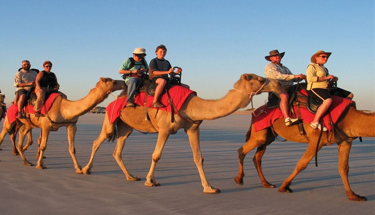 places to visit in rajasthan,rajasthan travel guide,udaipur,jaipur,alwar,ranthambore,jaisalmer,jodhpur,pushkar,ajmer,mandawa,bikaner,rajasthan tourism,winter destinations in rajasthan,rajasthan tourist attractions