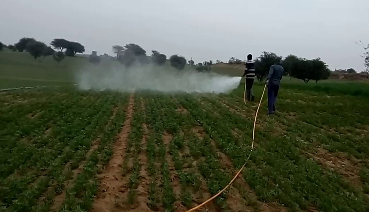 हवेलियों और महलों से ज्यादा रेत के मैदान का आनन्द लेने आते हैं पर्यटक, एक समग्र दृष्टि बीकानेर पर bikaner travel guide,bikaner tourism,best places to visit in bikaner,top attractions in bikaner,bikaner sightseeing,bikaner historical sites,bikaner desert safari,bikaner camel festival,bikaner food guide,bikaner travel tips,exploring bikaner,things to do in bikaner,bikaner vacation ideas