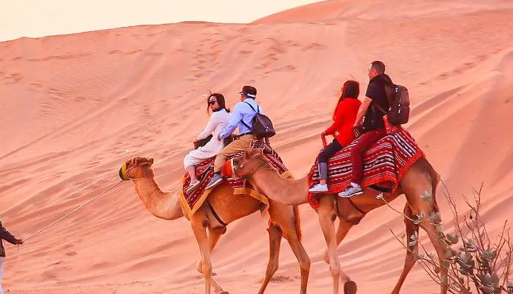 beautiful locations in rajasthan,must-visit places in rajasthan,top destinations in rajasthan,rajasthan travel guide,jaipur attractions,pushkar pilgrimage,jodhpur blue city,bikaner camel festival,jaisalmer desert festival,ranthambore national park,nagaur festival,pali rajasthan,udaipur lakes,kumbhalgarh fort