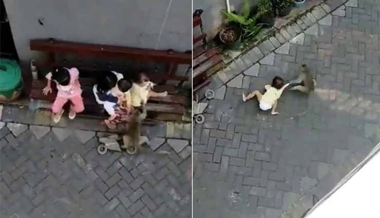 बाइक पर सवार होकर गली में घुसा बंदर, की बच्ची को किडनैप करने की कोशिश, देखे वीडियो