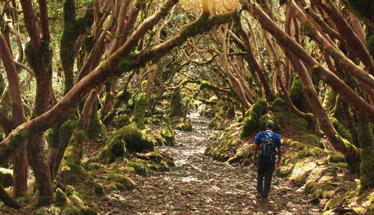 scenic bike trails in india,trails in india,india,manali to spiti,guwahati to east khasi hills,nh17 udupi trail,manali to rohtang pass,zanskar trail,western arunachal trail