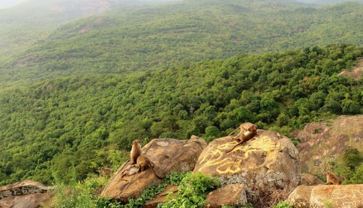 monsoon places in karnataka,karnataka monsoon destinations,best places to visit in karnataka during monsoon,rainy season getaways in karnataka,karnataka hill stations in monsoon,top monsoon spots in karnataka,monsoon tourism in karnataka,waterfalls in karnataka during monsoon,rain-soaked beauty of karnataka,karnataka backwaters in monsoon,monsoon trekking in karnataka,monsoon travel tips for karnataka,karnataka monsoon photography spots,serene landscapes of karnataka during monsoon,karnataka monsoon holiday packages