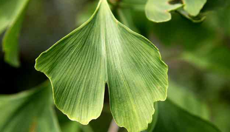 natural supplements for better sex drive,healthy living,Health tips