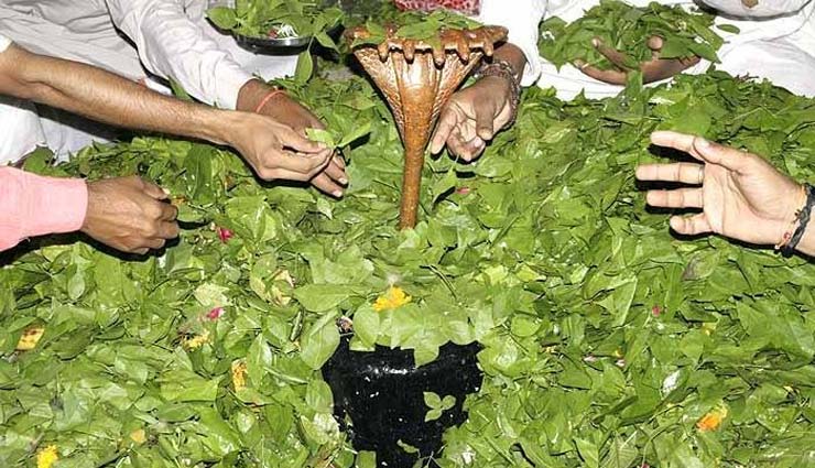 mahashivratri 2019,shiv puja,shiv bhakti,shivratri 2019,worship shiva,worship shiv,puja,bhakti