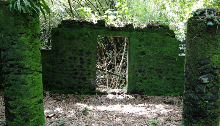 cameroon,must-see places,beauty,diversity,travel destinations,tourism,attractions,natural wonders,cultural sites,historical landmarks,wildlife,adventure,scenic beauty,top destinations,explore cameroon,african travel