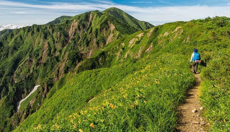 jungle,jungle adventure,jungle safari