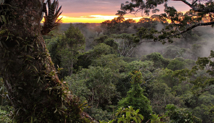 ecuador,tourist spots in ecuador,ecuador travel,holidays in ecuador,travel tips,travel guide