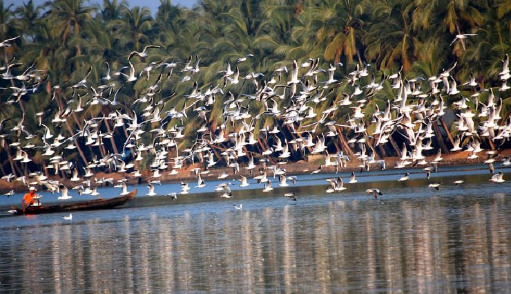 malappuram kerala,hidden gems of kerala,cultural heritage malappuram,malappuram tourism,historic sites malappuram,kerala waterfalls,traditional festivals kerala,nature tourism malappuram,malappuram attractions,best places to visit in malappuram,kerala travel guide,serene destinations kerala,malappuram history,nature lover destinations kerala