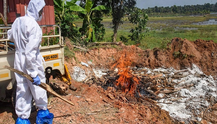 coronavirus,bird flu,bird flu death rate,bird flu news,news