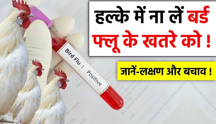 जानवरों के साथ इंसानों पर भी मंडरा रहा बर्ड फ्लू का खतरा, जानें इसके लक्षण और बचाव