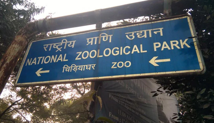 दिल्ली: Zoo में भी बर्ड फ्लू की एंट्री, पिंजरे में मृत मिले उल्लू