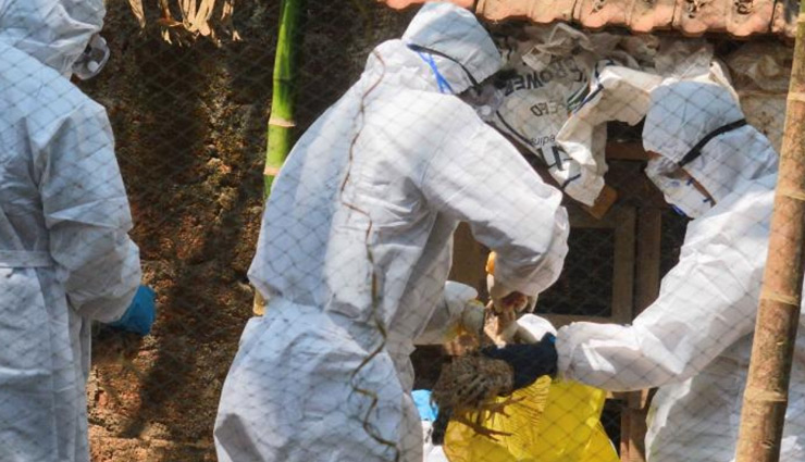 उत्तराखंड: टिहरी जिले में एक पोल्ट्री फार्म की 150 मुर्गियों की मौत, बर्ड फ्लू की आशंका 