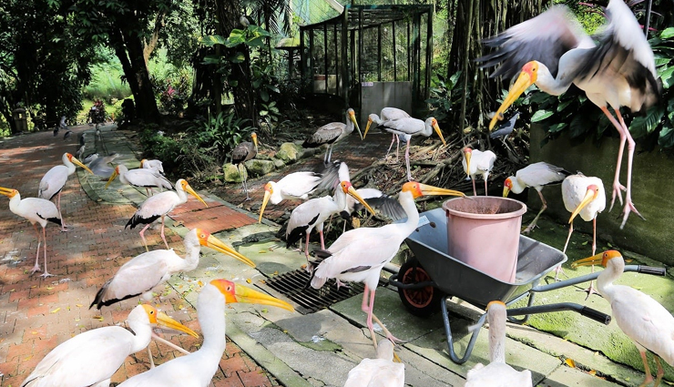 kuala lumpur,tourist attractions in kuala lumpur,kuala lumpur travel,kuala lumpur tourism,tourist places in kuala lumpur,holidays in kuala lumpur,travel guide kuala lumpur,holidays,travel guide,travel tips