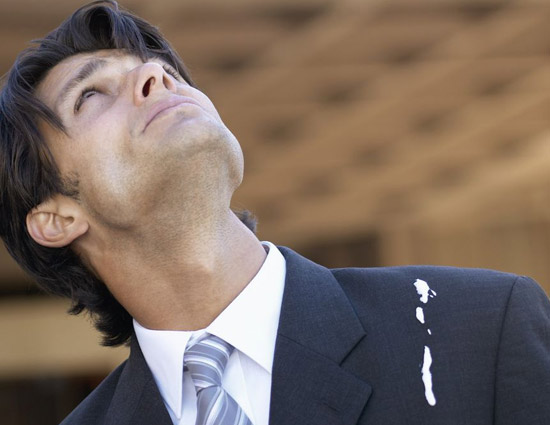 Easiest Way To Clean Bird Shit From Clothes