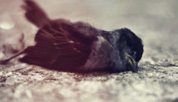 mysterious places in the world,most mysterious places in the world,most mysterious places on earth,mysterious places around the world,most mysterious place,mysterious places to visit,most mysterious places in world,mysterious places of india,world most mysterious