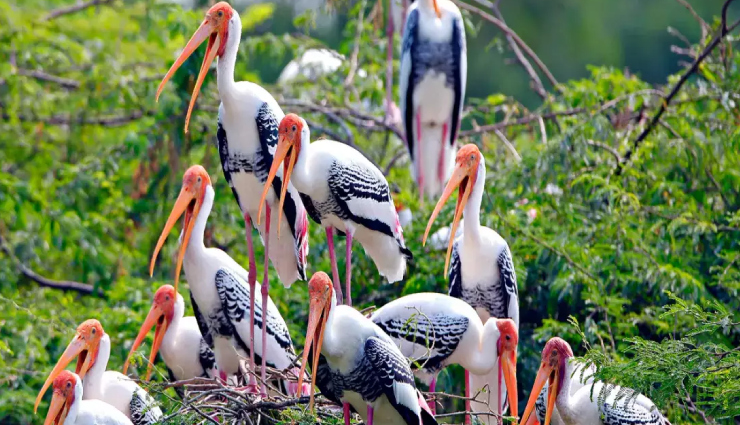 8 Places To Enjoy Birding in India