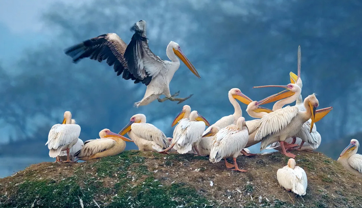 father day 2023,unique trips with father,thrilling adventures with dad,father day travel ideas,unforgettable father-child trips,bonding experiences for father and child,memorable journeys with dad,exciting trips for father day,adventure travel with father,creating memories on father day