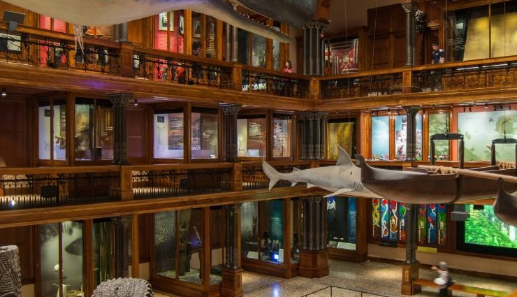 destinations in hawaii you must explore,hawai major attractions,travel,tourism,holidays