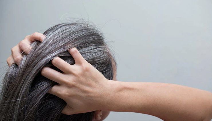 bishops weed for skin,bishops weed,skin care tips,beauty tips