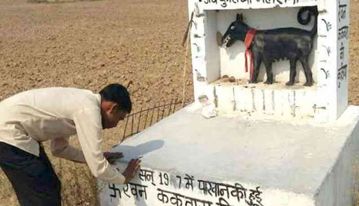 आखिर क्यों इस मंदिर में की जाती है कुतिया की पूजा, सबकुछ बयाँ करती है यह कहानी bitch is worshiped,bitch temple,jhansi